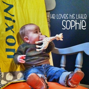 ::my son loves his Sophie::