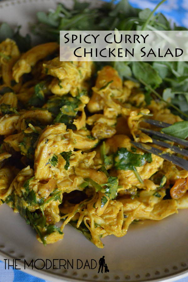 Spicy Chicken Curry Salad | The Modern Dad