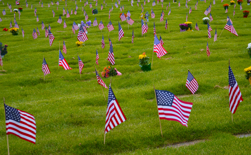 Memorial Day | Flags in the Cemetery