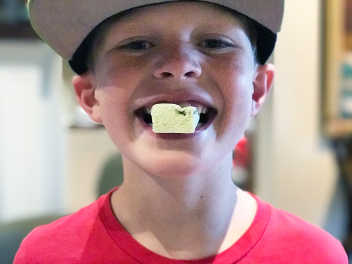 Fun, Different, Healthy — Smash Mallow by The Modern Dad