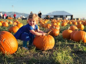 Favorite Halloween Events in Utah by The Modern Dad