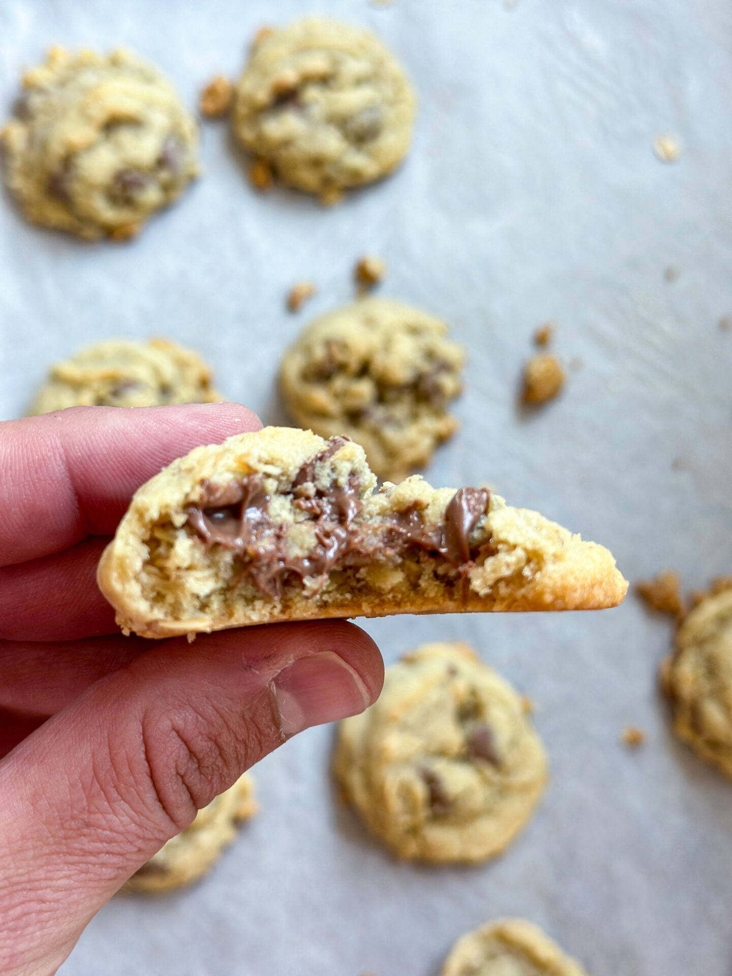 The Great Chocolate Chip Cookie: Why They’re a Staple in Every Household